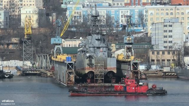 БПК "Адмирал Виноградов", Корабли ТОФ, Владивосток, 2022.