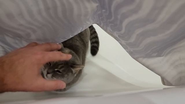 Жуть!