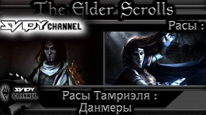 The Elder Scrolls-Расы Тамриэля-Данмеры(Лор)