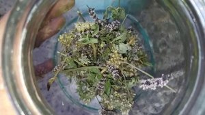 урожай с заброшенной дачи. лечусь травами. сегодня животные счастливы. village life vlog