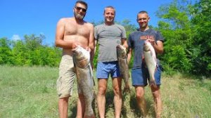 Ну Наконец Открыл  Сезон на Толстолобика, ? И Трофей даже был.