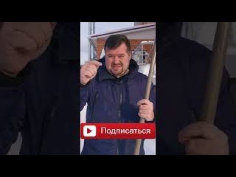 Подножный корм под снегом