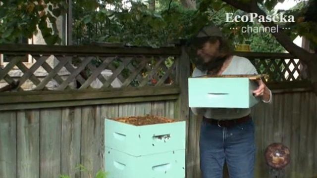 Знакомство с домашней пчелиной лабораторией (Часть 3) смотреть онлайн