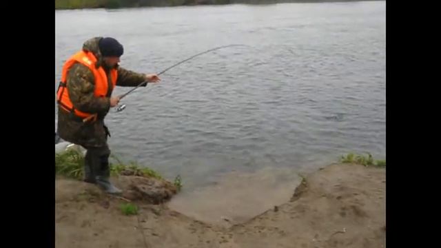 Кижуч смотреть онлайн