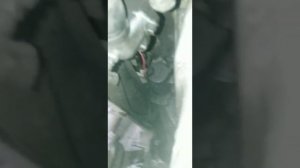 Слетел ремень с помпы ямз 236