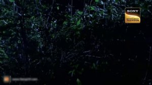 Waterbodies | CID | Team CID Encounters A Dangerous Tiger On The Prowl! | 4 Feb 2023