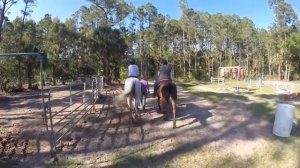 Horseback Riding With Dawn