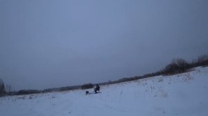 Какой мотобуксировщик лучше? Альбатрос-L !? )