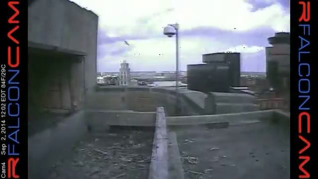 Camera 4 - 09/02/14 смотреть онлайн