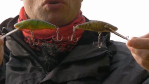 Когда лучше ловить щуку на воблеры крэнки