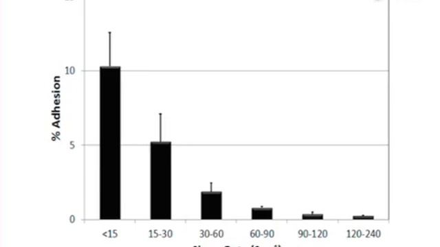 Generation: Shear Adhesion Map Using SynVivo Synthetic Microvascular Networks l Protocol Preview смотреть онлайн