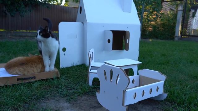 ГИГАНТСКИЙ картонный ДОМИК для КОТОВ! Смешной Кот и Кошечка Мурка и РУМ ТУР