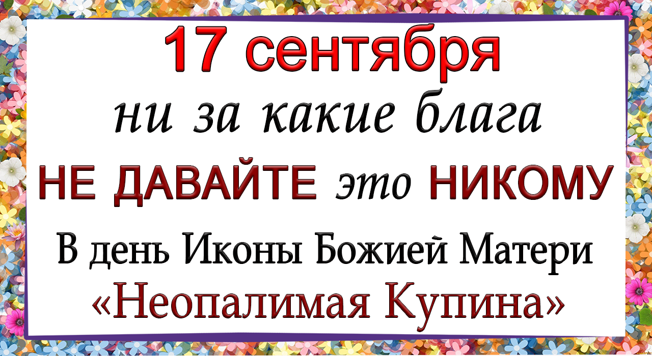 17 сентября Луков день, что нельзя делать. Народные традиции и приметы.*Эзотерика Для Тебя*