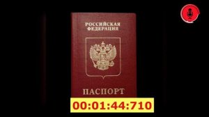 Как получить гражданство РФ 2022: правила, документы, порядок оформления Основания Этапы получения