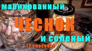 Чеснок Маринованный и Соленый  - Два  Способа переработки Чеснока – Почему я раньше так не делала?