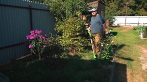 Тест аккумуляторного триммера Greenworks G24LT30
