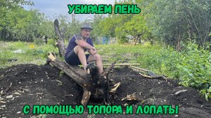 Убираем пень с помощью пня и лопаты