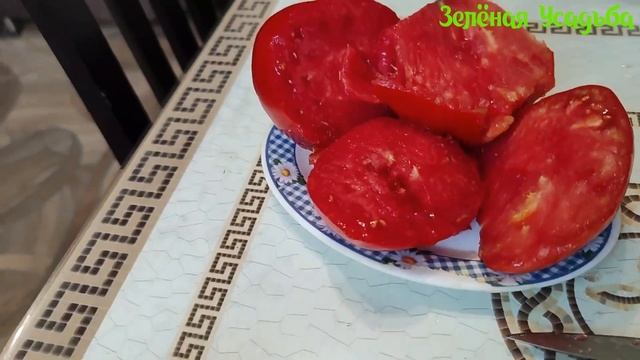Обзор Минусинских помидор: от Старожилов и 1- Килограммовый/ На кустах, взвешивания и дегустация. смотреть онлайн