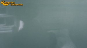 Течение чудесного времени 1 сезон 46 серия