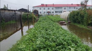 Такой вот "Хуеморген" этим летом. Потоп. Июльские ливни 2023г. Извиняюсь за свой бельгийский!