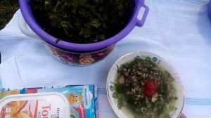 Как заготовить листовой и полукочанный салат на зиму?