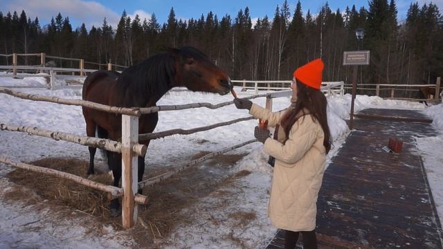 Как сделать Адвент календарь?