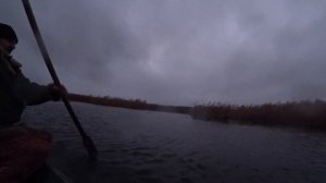 Охота на уток осенью с подсадными кряковыми утками