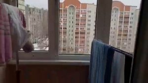 2х комнатная квартира, г. Воронеж, Бульвар победы 51А
