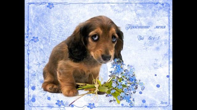 ПРОЩЁНОЕ ВОСКРЕСЕНЬЕ!? МУЗЫКАЛЬНАЯ ОТКРЫТКА С ПРОЩЁНЫМ ВОСКРЕСЕНЬЕМ!? ПРОСТИ МЕНЯ ЗА ВСЁ И Я ПРОЩАЮ смотреть онлайн