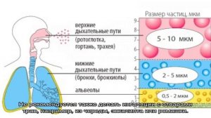Стоит ли делать ингаляции при насморке у детей и какие рецепты эффективны?