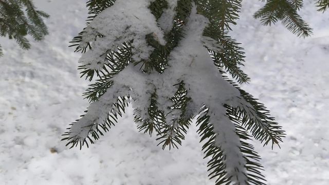 ПРОЩЕНОЕ ВОСКРЕСЕНИЕ. Список необходимых дел