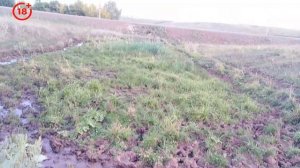 Народное средство от крыс в доме.