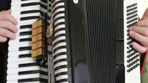 Accordion Firotti