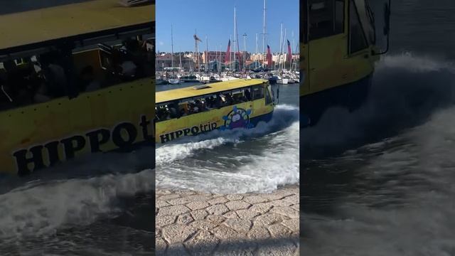 Hippo Trip bus going into water in Lisbon Portugal