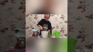 ПЕРЕСАДКА МЯТЫ? в домашних условиях?