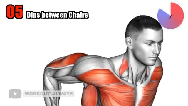 10 Best Triceps Exercises at Home ! смотреть онлайн