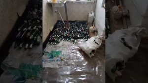 Теплый пол из бутылок, пустой тары