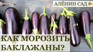 ПРАВИЛЬНАЯ заморозка баклажанов / Заготовки на зиму