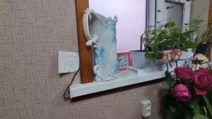 ОН появился из-за угла ! Австралия Казахстан 2023 . В гостях у Оленьки . Элла Австралия