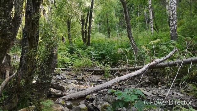 А вы знали, что в Кемеровской области можно отдыхать тут?