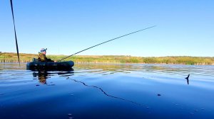 Щука на поплавок и снасточку. Рыбалка на щуку в августе.