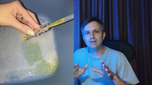 Как собрать мочу у кошки для анализа | варианты