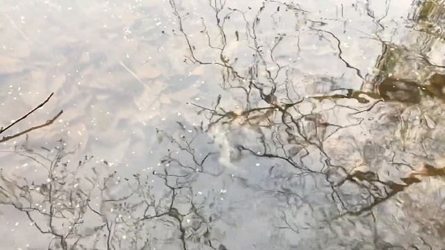 Hearty Rise Rock’n’Force II RF2 692XUL. Микроджиг. Дубна смотреть онлайн