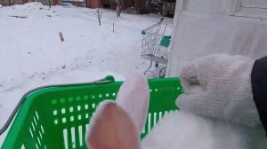 Хотите знать сколько весят кролики от 2 месяцев и старше? Смотрите вес и вид моих Белых Великанов.