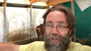 Доильный аппарат для коров в ЛПХ Фроловых