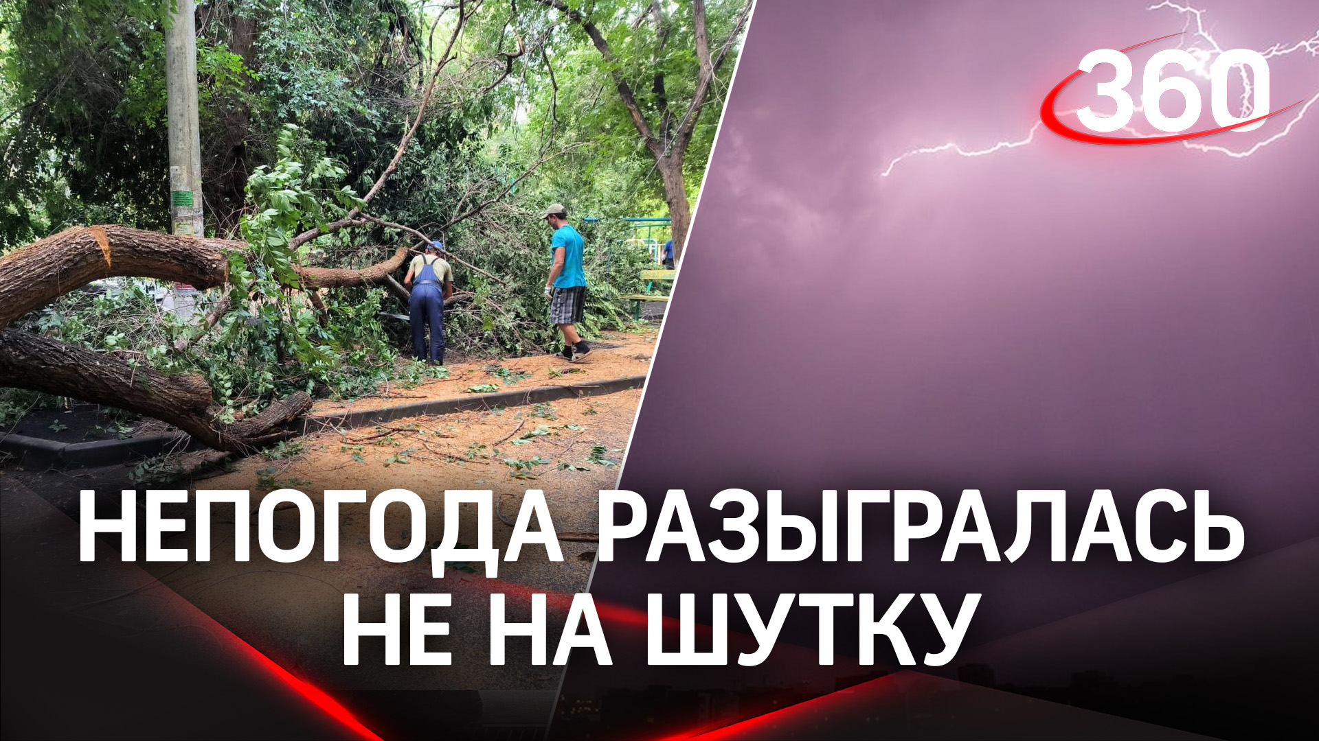 Обесточила госпиталь в Севастополе, повалила деревья в Белгороде - непогода на юге РФ