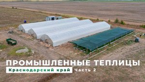 Теплицы Краснодарского края. Часть 2