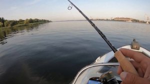 CRAZY FISH Arion ASR832HT  10 45 грамм Первое знакомства и впечатления .