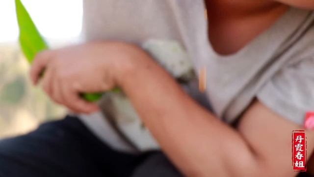 【丹霞春姐】弟弟买个大猪头回来，春姐做一盘卤猪头，直接手抓着啃，吃的过瘾