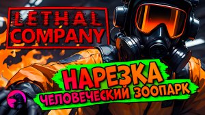 НАРЕЗКА Человеческий зоопарк Lethal Company